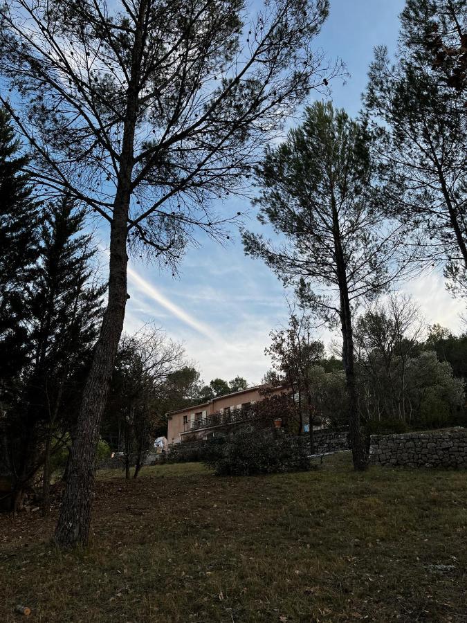 Natur & Jasmin Chambres D'Hotes Naturistes En Provence Lorgues Exteriér fotografie