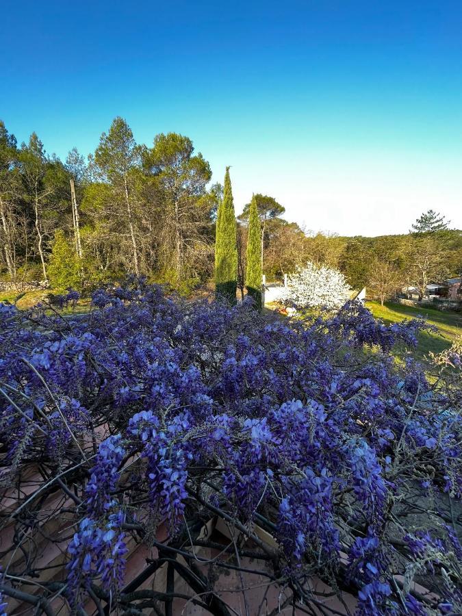 Natur & Jasmin Chambres D'Hotes Naturistes En Provence Lorgues Exteriér fotografie