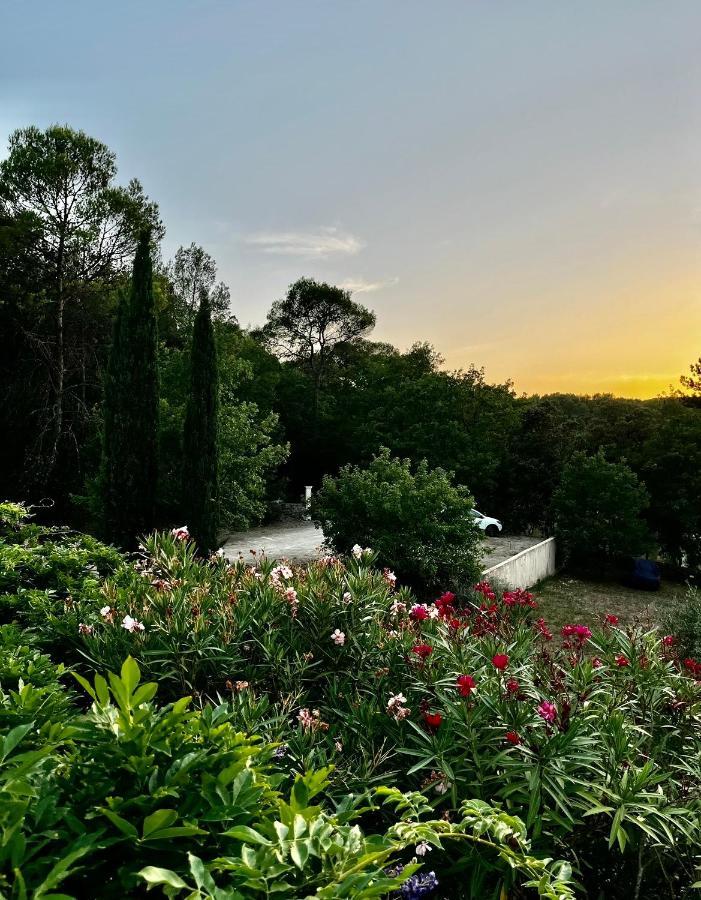 Natur & Jasmin Chambres D'Hotes Naturistes En Provence Lorgues Exteriér fotografie
