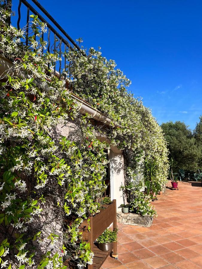 Natur & Jasmin Chambres D'Hotes Naturistes En Provence Lorgues Exteriér fotografie